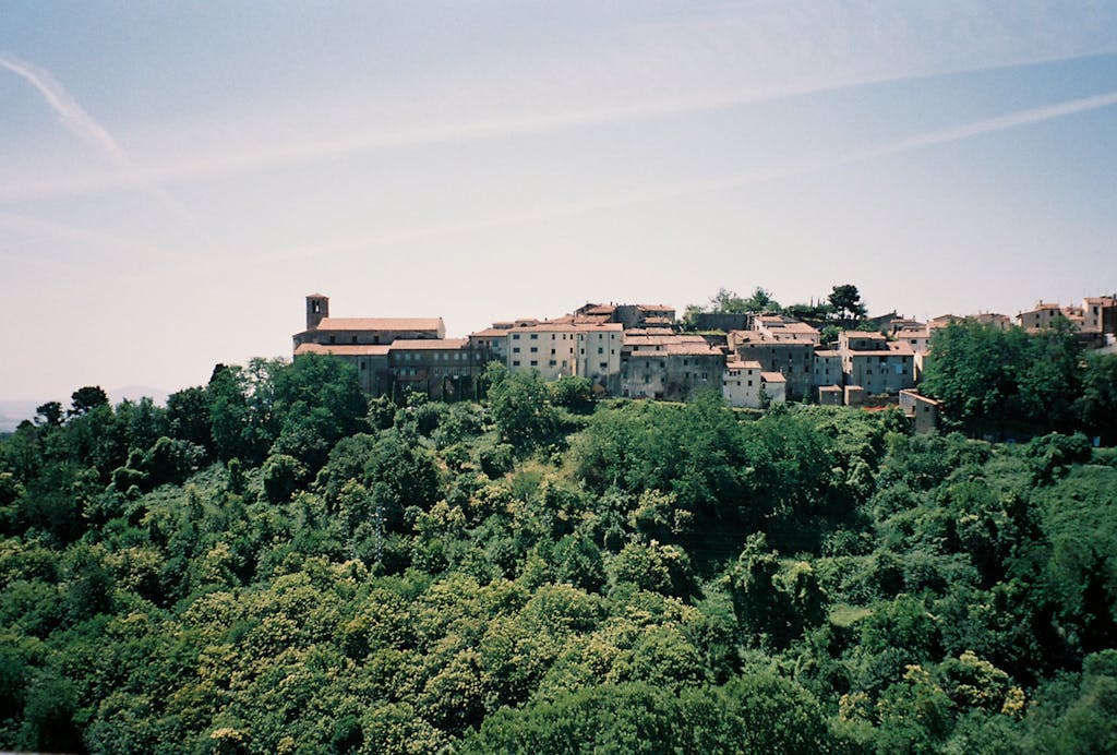 Charming hilltop village surrounded by green forest under clear blue sky.